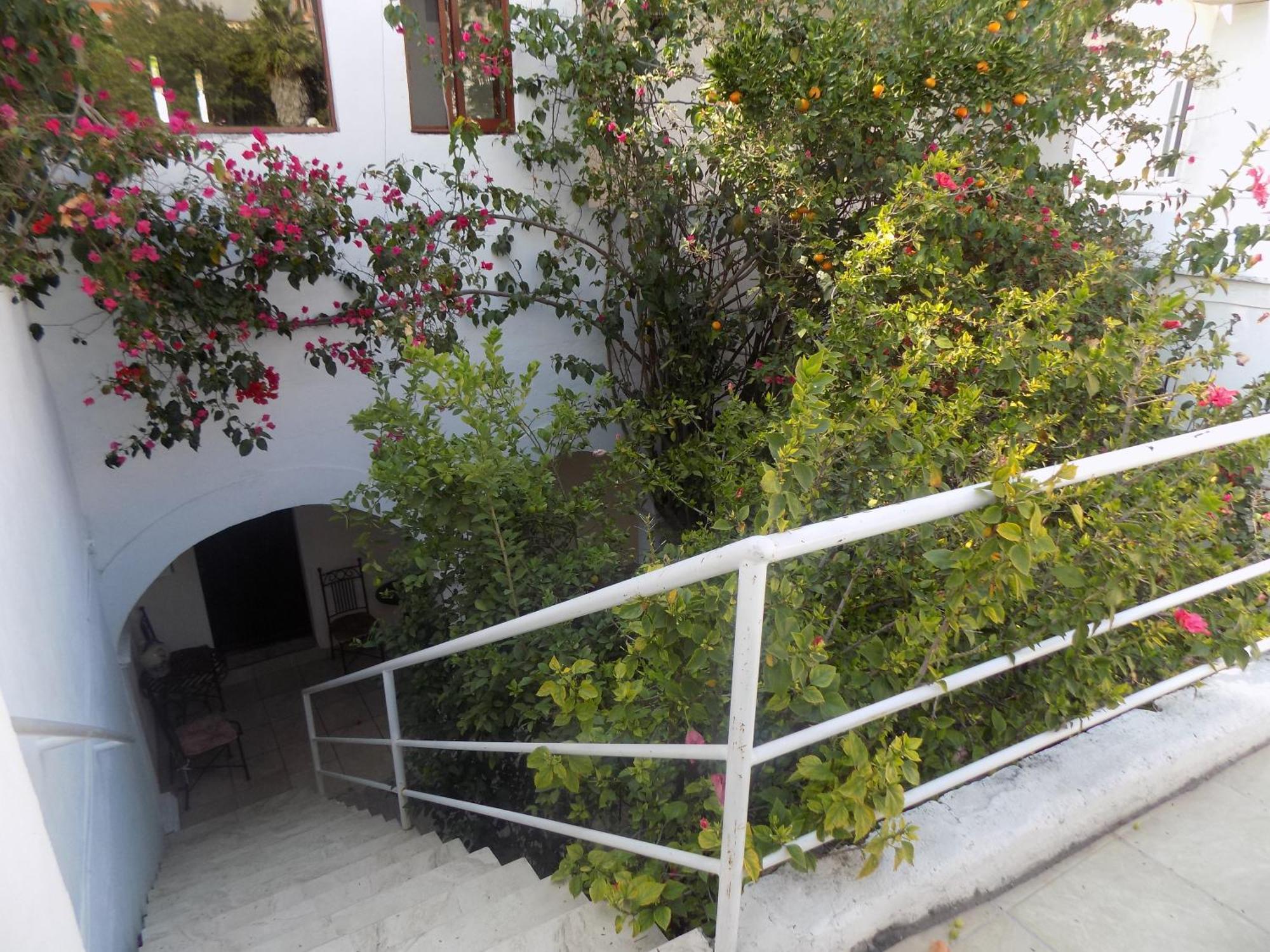 Hotel Casa San Miguel San Miguel de Allende Extérieur photo