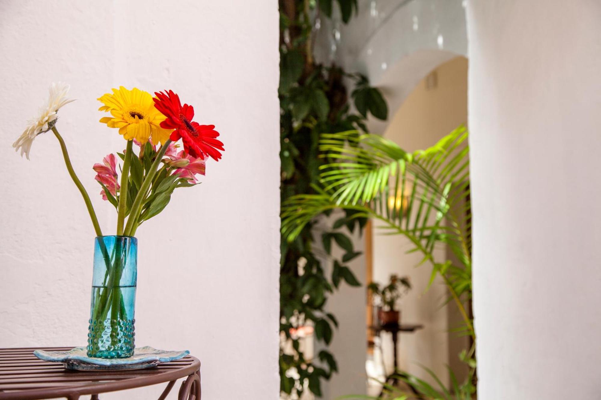 Hotel Casa San Miguel San Miguel de Allende Extérieur photo